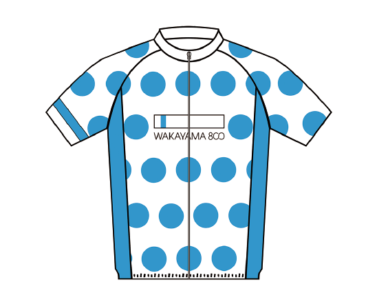 WAKAYAMA800 オリジナルジャージ