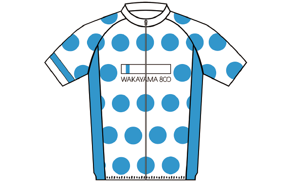 WAKAYAMA800 オリジナルジャージ