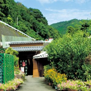 えびね温泉