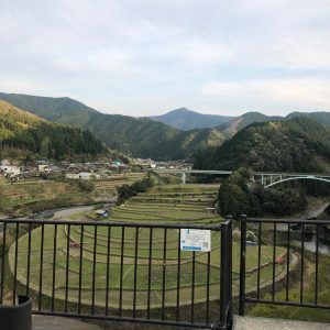 あらぎ島