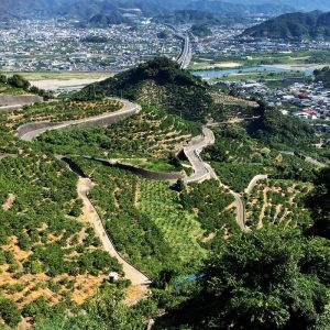 千葉山