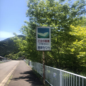 乙女の寝顔